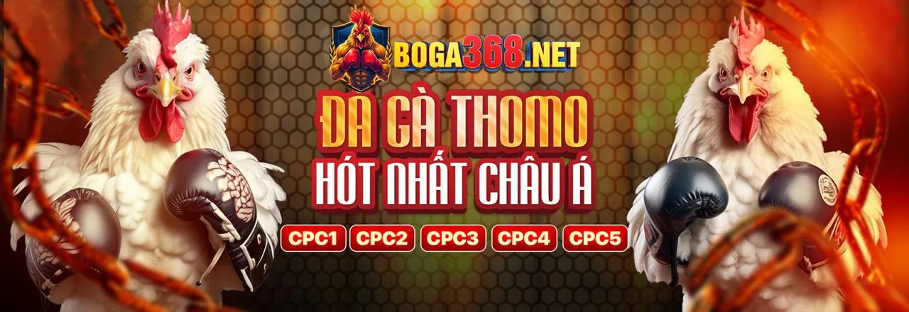 VN888 link vào - Nền tảng cá cược trực tuyến hàng đầu Việt Nam 2026