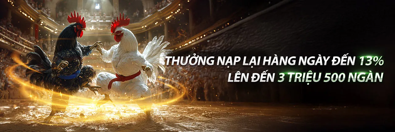 Hình ảnh nền tảng cá cược VN888