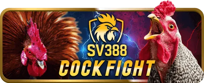 Cách Truy Cập VN888 An Toàn