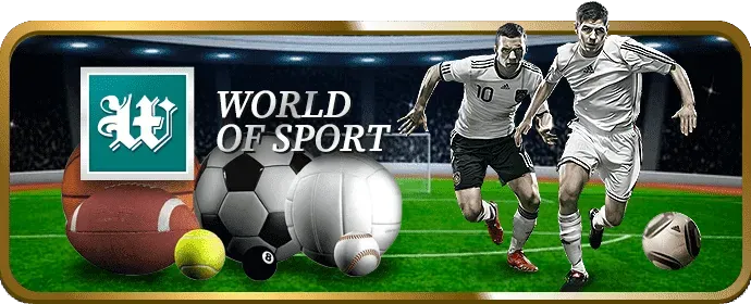Người đang tìm kiếm câu trả lời trong phần FAQ